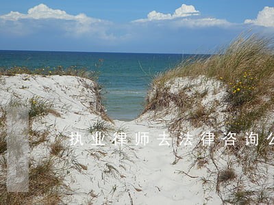 执业律师去法律咨询公司 执业律师去法律咨询公司