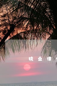 执业律师可以做教授吗 执业律师可以做教授吗