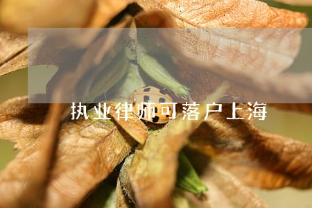 执业律师可落户上海 执业律师可落户上海