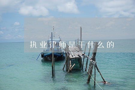 执业律师是干什么的 执业律师是干什么的