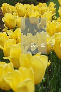 执业律师证含金量 执业律师证含金量