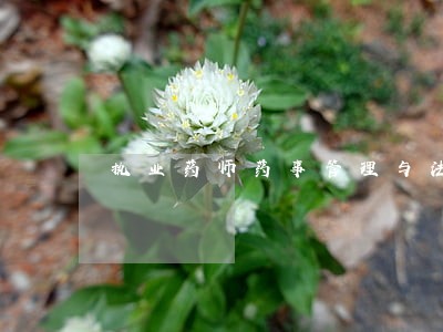 执业药师药事管理与法规真题解析 执业药师药事管理与法规真题解析