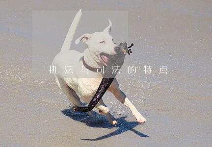 执法与司法的特点 执法与司法的特点
