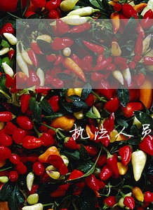 执法人员司法考试 执法人员司法考试