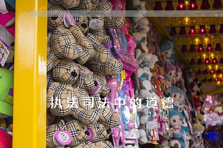 执法司法中的道德 执法司法中的道德