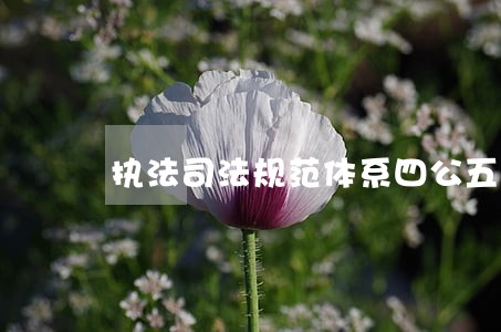 执法司法规范体系四公五化 执法司法规范体系四公五化