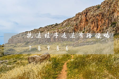 执法程序违法有赔偿吗/2023013178986 执法程序违法有赔偿吗/2023013178986