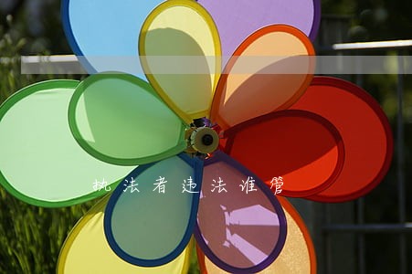 执法者违法谁管 执法者违法谁管