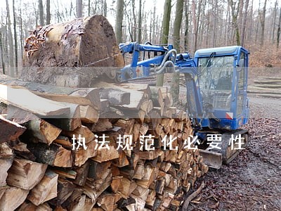 执法规范化必要性 执法规范化必要性