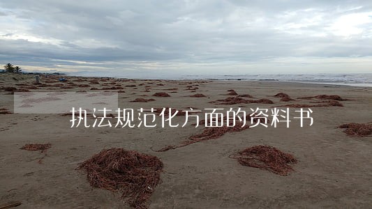 执法规范化方面的资料书 执法规范化方面的资料书