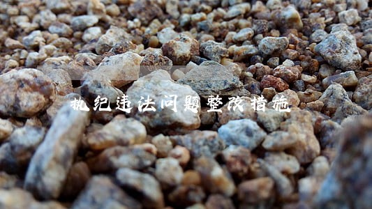 执纪违法问题整改措施 执纪违法问题整改措施