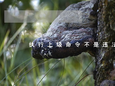 执行上级命令不是违法犯罪的理由 执行上级命令不是违法犯罪的理由