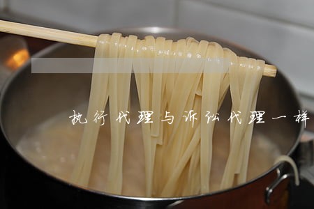 执行代理与诉讼代理一样吗 执行代理与诉讼代理一样吗