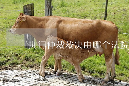 执行仲裁裁决由哪个法院执行 执行仲裁裁决由哪个法院执行