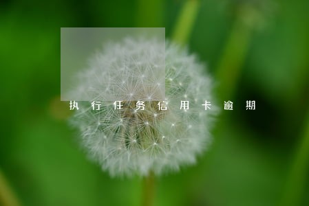 执行任务信用卡逾期 执行任务信用卡逾期
