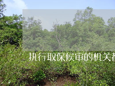 执行取保候审的机关都有哪些 执行取保候审的机关都有哪些