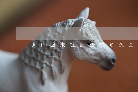 执行回来钱到法院多久会下发 执行回来钱到法院多久会下发