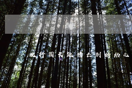 执行园长跳槽去别的幼儿园违法吗 执行园长跳槽去别的幼儿园违法吗