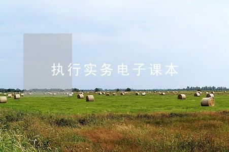 执行实务电子课本