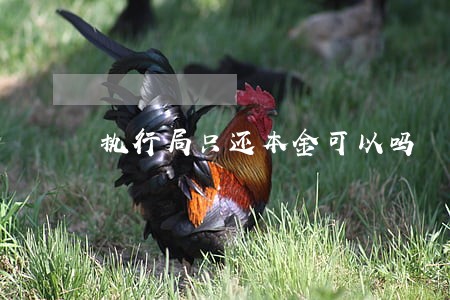 执行局只还本金可以吗 执行局只还本金可以吗