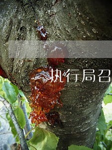 执行局召开新闻发布会
