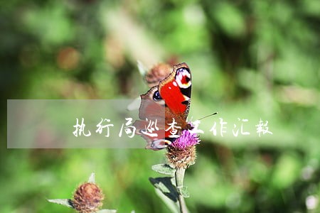 执行局巡查工作汇报 执行局巡查工作汇报