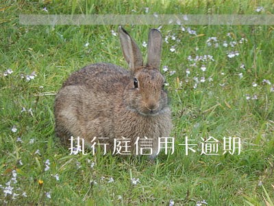 执行庭信用卡逾期 执行庭信用卡逾期