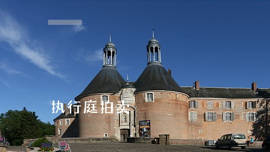 执行庭拍卖 执行庭拍卖