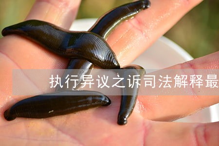 执行异议之诉司法解释最高院