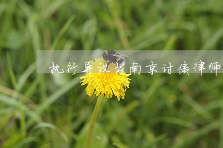 执行异议书南京讨债律师 执行异议书南京讨债律师