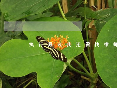 执行异议我还需找律师吗 执行异议我还需找律师吗