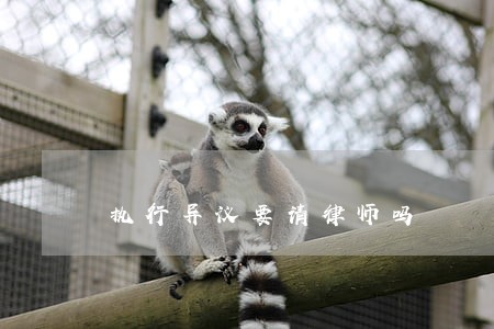 执行异议要请律师吗 执行异议要请律师吗