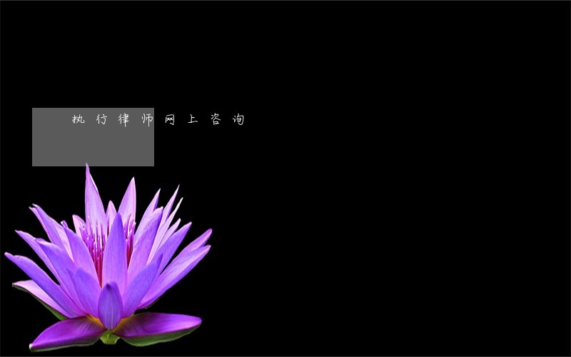 执行律师网上咨询 执行律师网上咨询