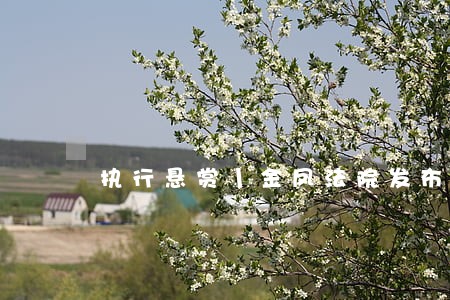执行悬赏丨金凤法院发布悬赏令 执行悬赏丨金凤法院发布悬赏令