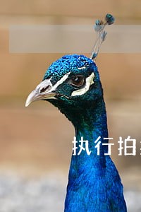 执行拍卖序网拍