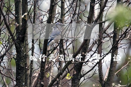执行是否属于民事诉讼 执行是否属于民事诉讼