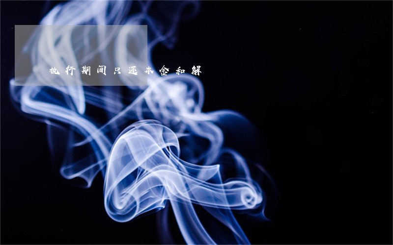 执行期间只还本金和解 执行期间只还本金和解