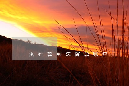 执行款到法院总账户 执行款到法院总账户