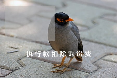 执行款扣除诉讼费 执行款扣除诉讼费