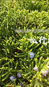 执行法律法规论文范文 执行法律法规论文范文