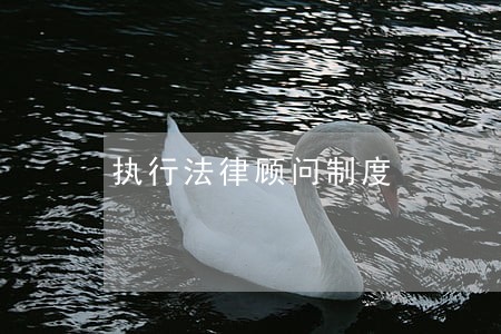 执行法律顾问制度 执行法律顾问制度