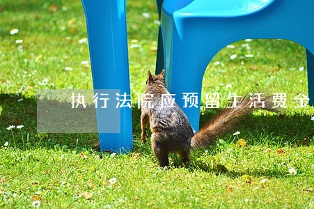 执行法院应预留生活费金额 执行法院应预留生活费金额