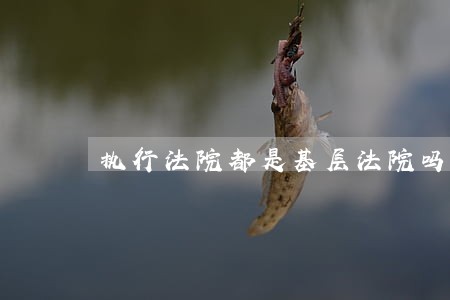 执行法院都是基层法院吗 执行法院都是基层法院吗