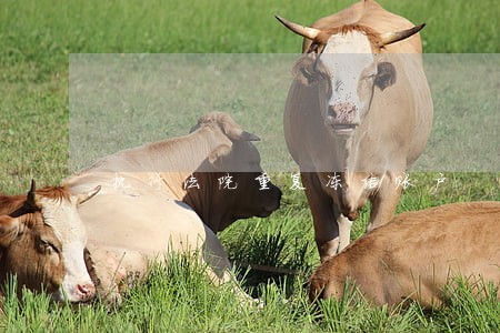 执行法院重复冻结账户 执行法院重复冻结账户