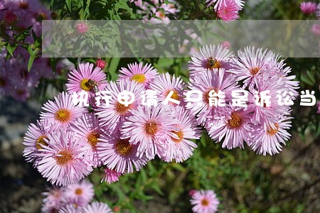 执行申请人只能是诉讼当事人 执行申请人只能是诉讼当事人