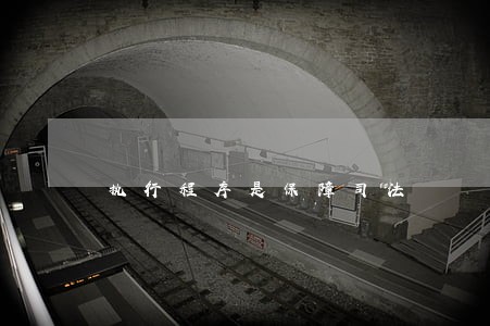 执行程序是保障司法