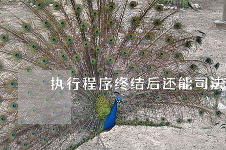 执行程序终结后还能司法拘留吗 执行程序终结后还能司法拘留吗