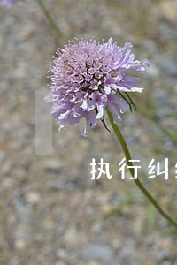 执行纠纷律师哪家专业 执行纠纷律师哪家专业