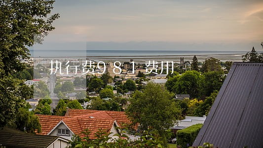 执行费981费用