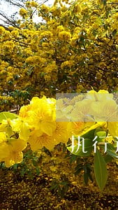 执行过程中债权转让司法解释 执行过程中债权转让司法解释